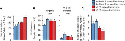 Strong Interactive Effects of Warming and Insect Herbivory on Soil Carbon and Nitrogen Dynamics at Subarctic Tree Line